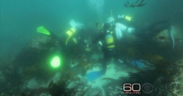 Ancient artifacts recovered from slave ship