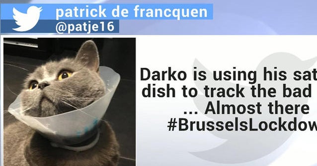 Belgians take to social media during police operation