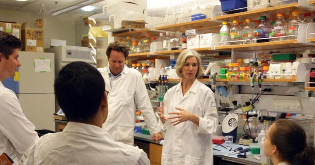 Promise and peril of gene-editing technology CRISPR