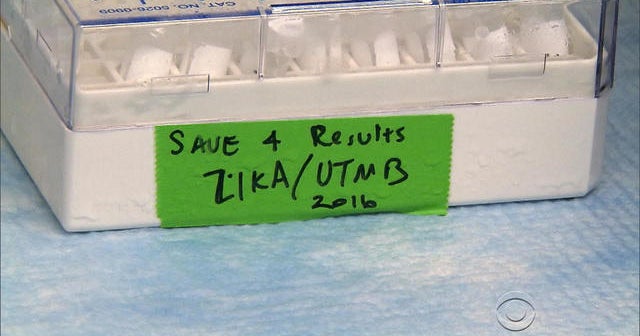 Houston officials testing mosquitoes for Zika