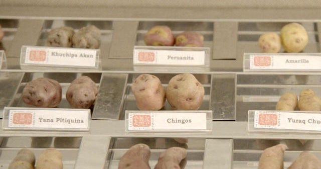 Can potatoes really grow on Mars?