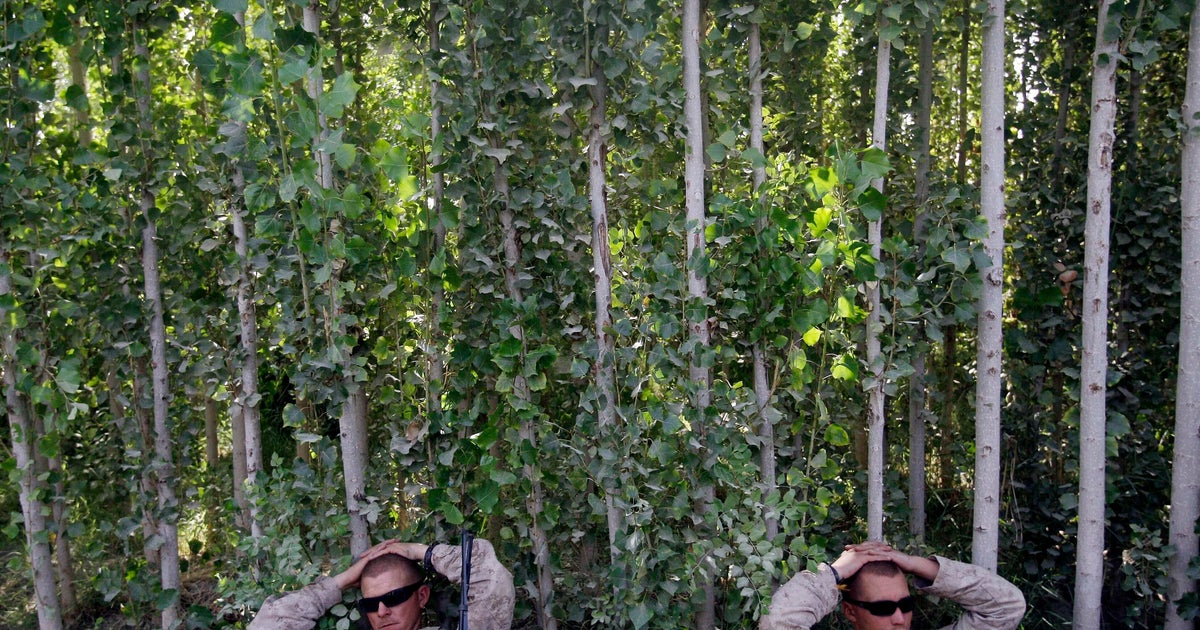 Trump backs Afghanistan withdrawal, putting him at odds with some Republicans