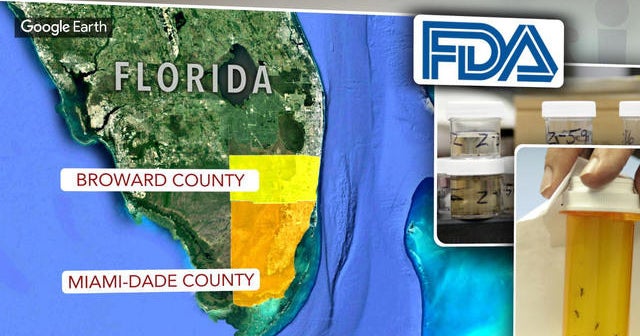 CDC director: Zika likely spreading in Florida