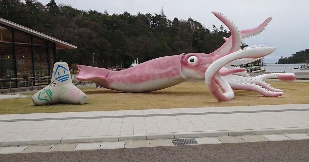 This Japanese town was given over $7 million for COVID-19 relief. They used $230,000 to build a giant squid statue.