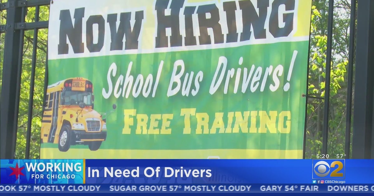 Working For Chicago School Bus Companies Looking For Drivers CBS Chicago