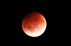 Super Blood Moon And Total Lunar Eclipse Seen In Auckland 