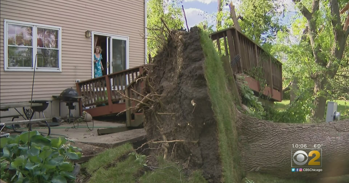 With Areas Of Naperville Devastated By Tornado, Neighbors Band Together