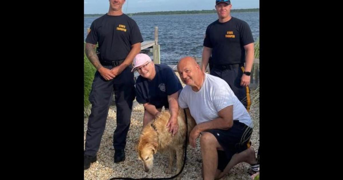 Dog missing for 2 weeks found swimming in New Jersey bay, rescued by state police: "He lost 20 pounds"