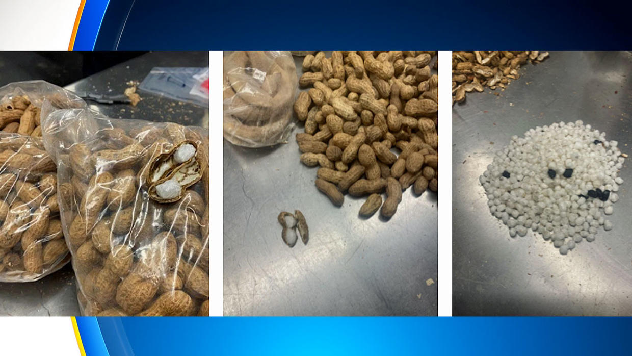 U.S. Customs Officers Crack Open Peanut Shells With Meth ...