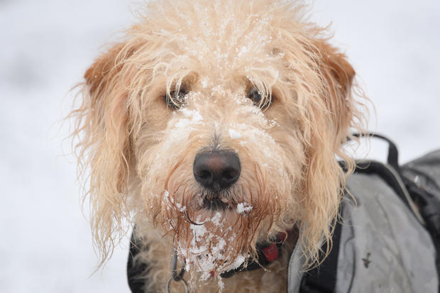 Big Freeze Brings Snow, Ice and Flooding To The UK 