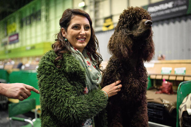 2018 Crufts Dog Show Day Four - Best In Show 