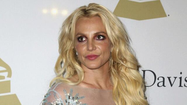 0715-ctm-britneyspears-yuccas-754401-640x360.jpg 
