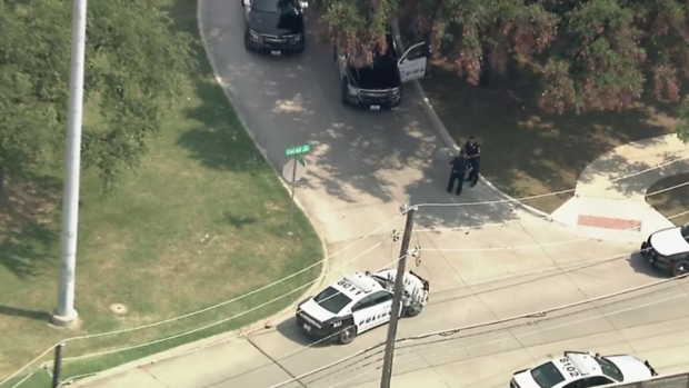 Dallas Police officer struck 
