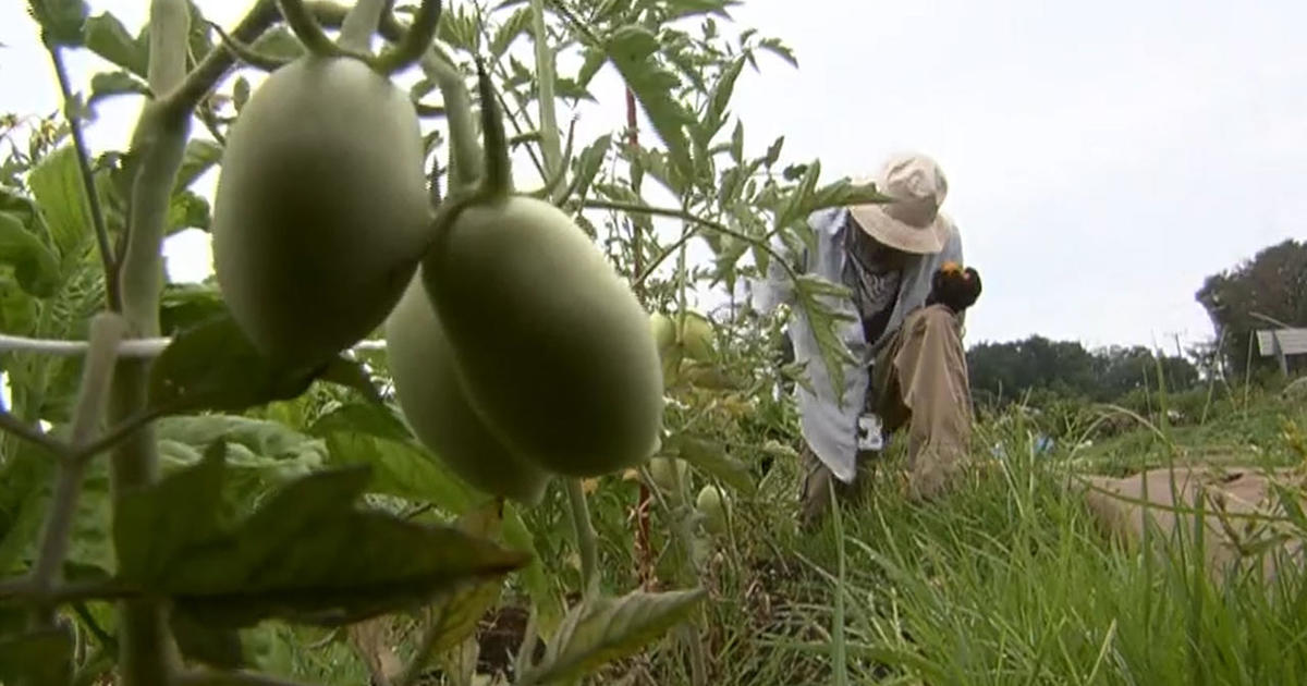In Virginia, military veterans take on their next mission: farming