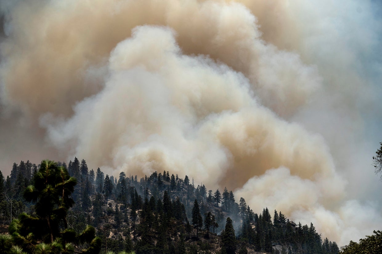 Five largest burning wildfires in the USA and what we know about them ...