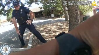 Cop facing felony charges after video of violent arrest released 