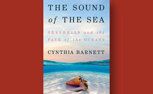 Book excerpt: "Sound of the Sea" by Cynthia Barnett 