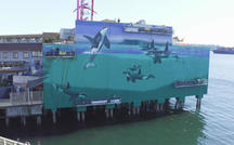 The artist Wyland and his "whaling walls" 