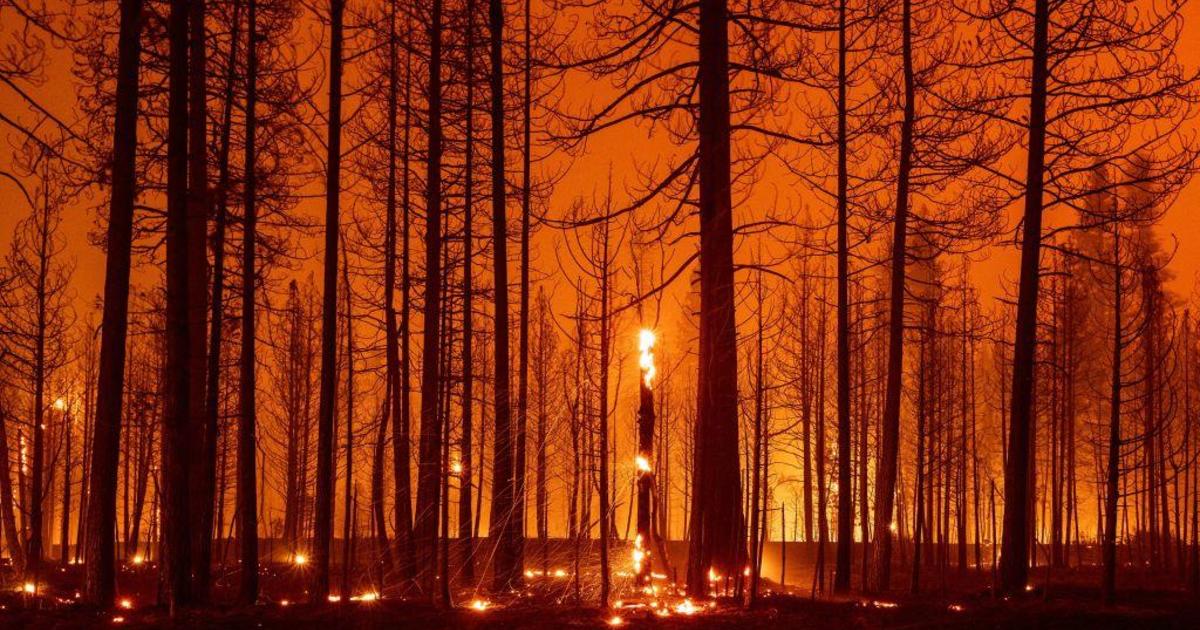 Hot and windy weather could cause wildfires to blaze out of control this week