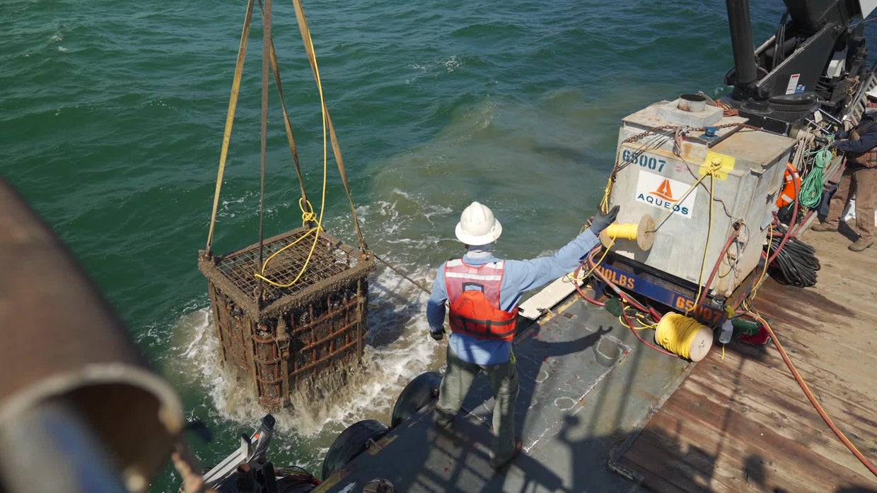 Wine cellar in the sea CBS News