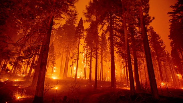 California Western Wildfires 