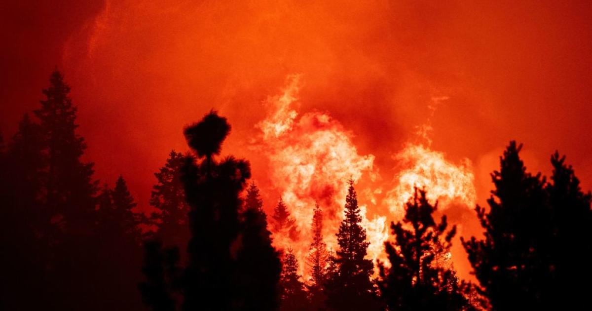 The Caldor Fire, now over 177,000 acres, triggers evacuation warnings near Lake Tahoe