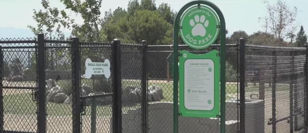 Popular Corona Dog Park Reopens For First Time In 13 Years 