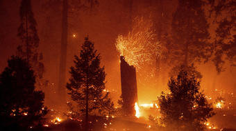 "This one's really scary": Caldor Fire racing toward Lake Tahoe 