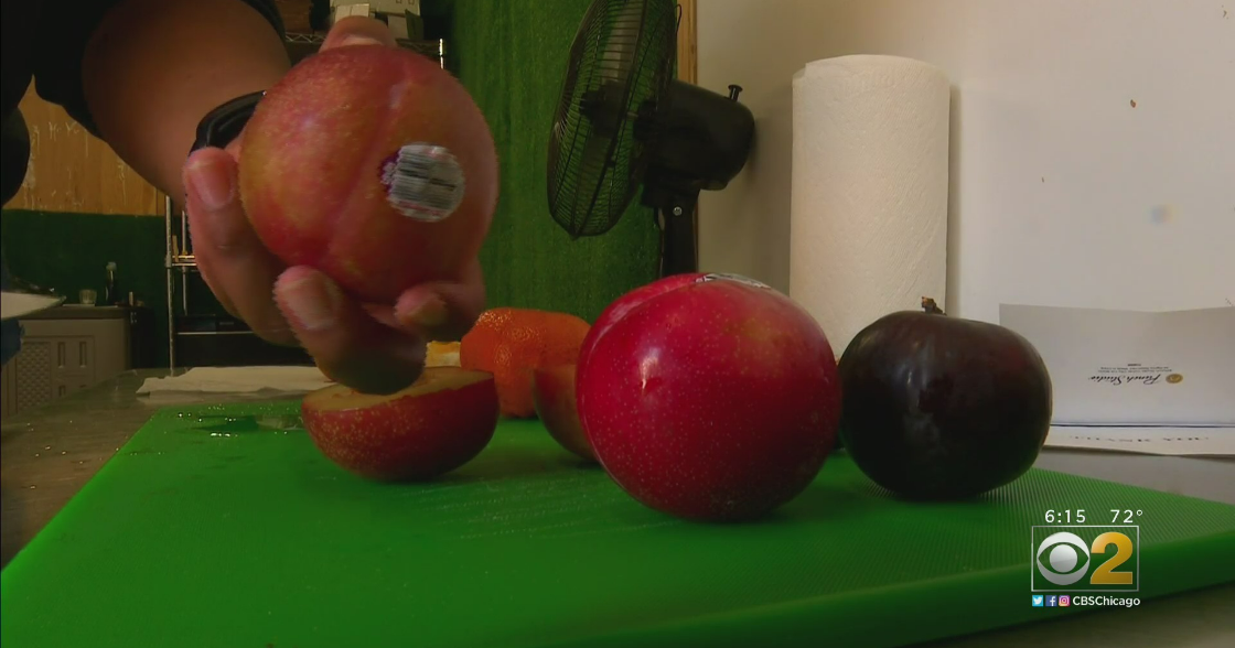 Synergy Foods Brings Vast Variety Of Fruits And Vegetables To Food