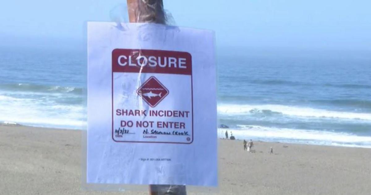 Surfer attacked by shark off California coast: "He had a struggle with it"