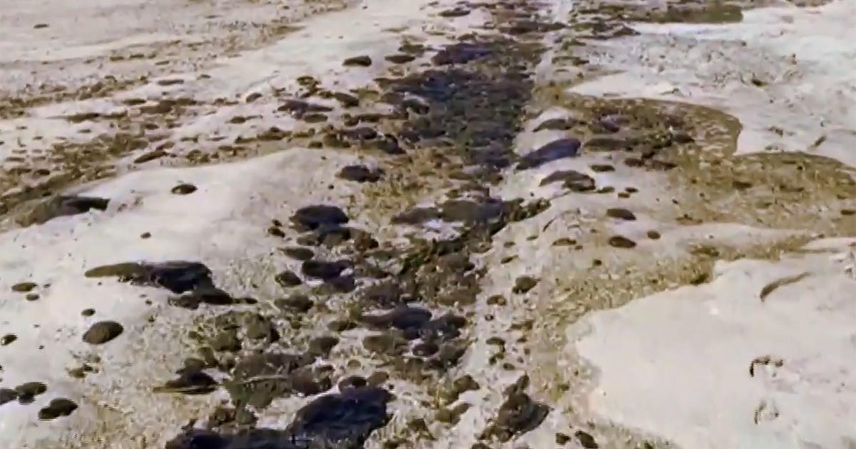 Massive oil spill coats Southern California beaches: "A potential ecological disaster"