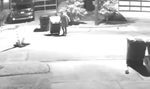 Surveillance image of cat allegedly being stolen inside trash can 