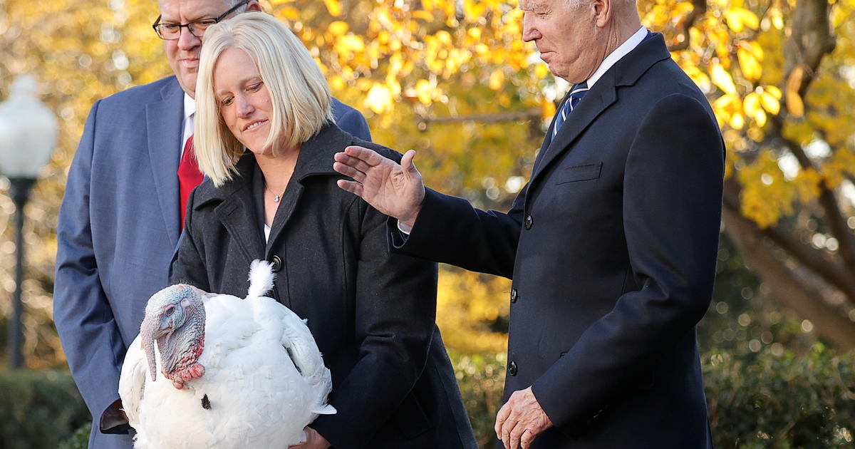 Biden pardons turkeys Peanut Butter and Jelly ahead of Thanksgiving