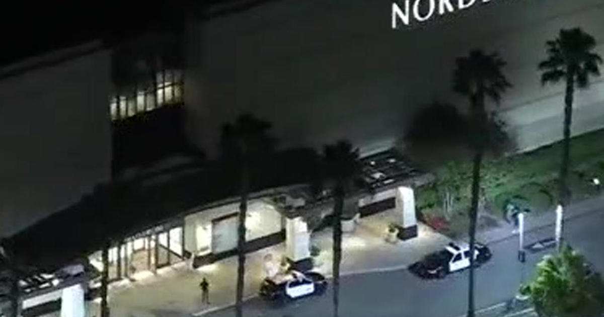 String of smash-and-grab thefts in California continues at Los Angeles Nordstrom store