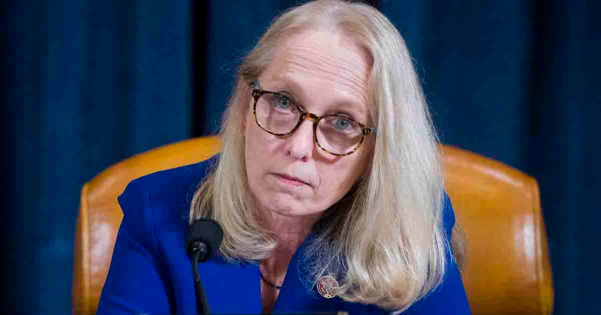 Image for 5 teens charged in carjacking of Representative Mary Gay Scanlon