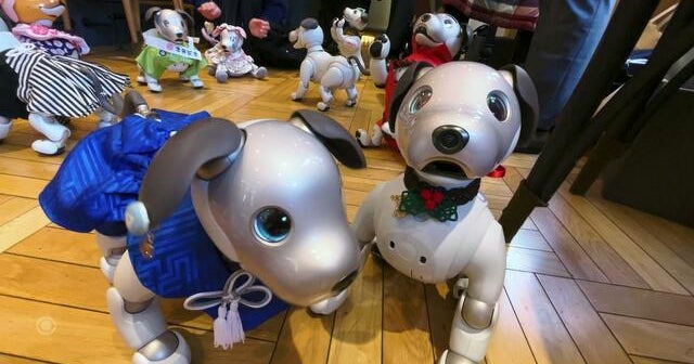 Japan companion robots help the lonely smile and patients in recovery during COVID&rsquo;s isolating times