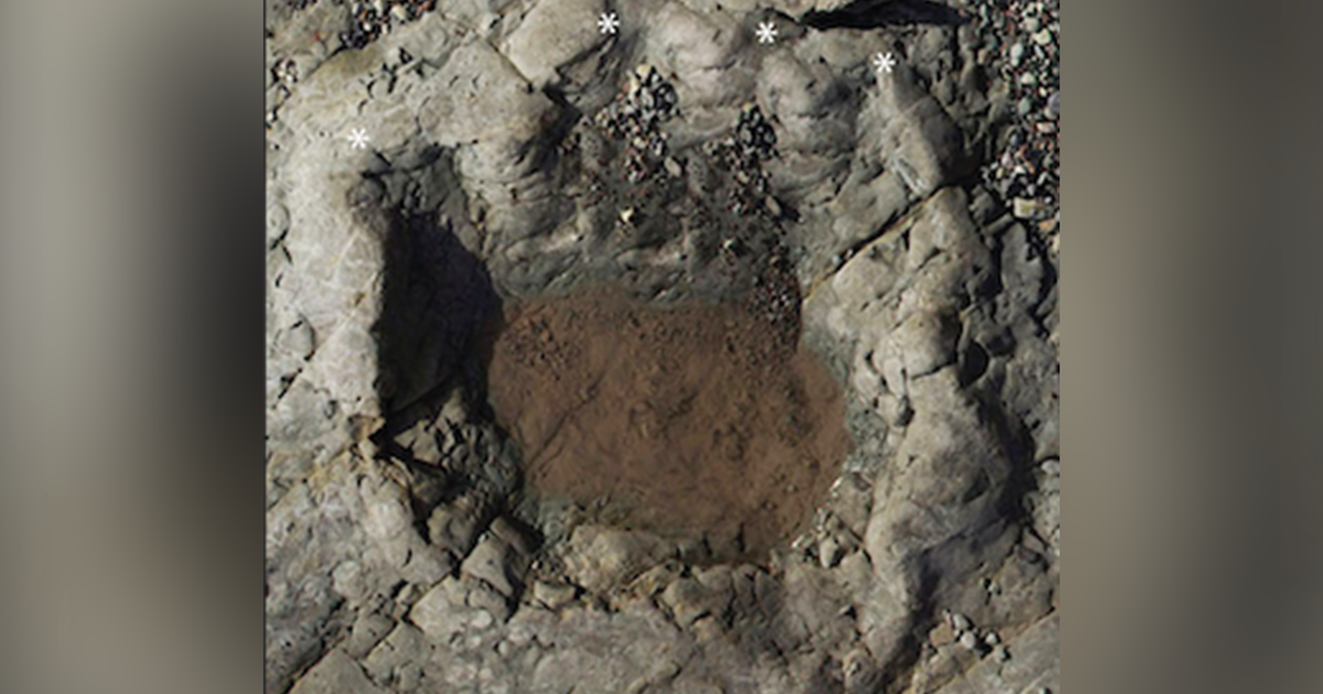 200-million-year-old dinosaur footprints discovered on beach