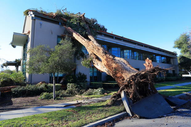 High Winds Hits Los Angeles 