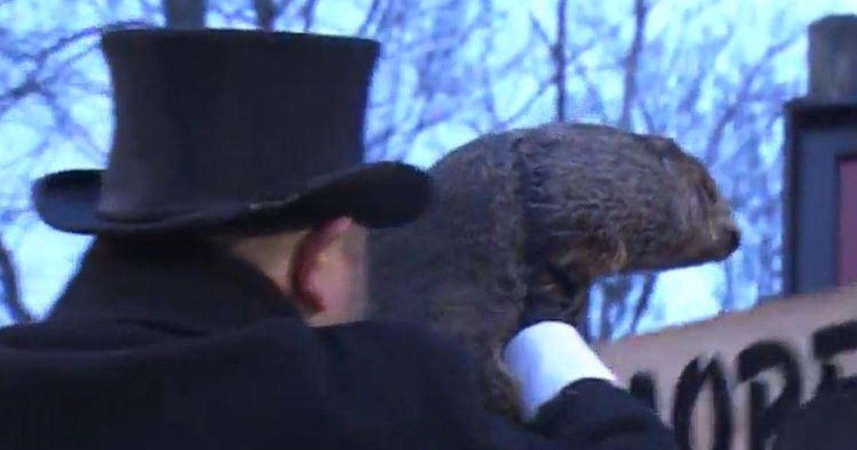 Groundhog Day 2022: Punxsutawney Phil predicts 6 more weeks of winter as massive storm threatens wide swath of U.S.