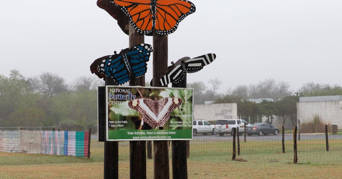 Texas butterfly sanctuary shutting after immigration-linked threats from Trump backers