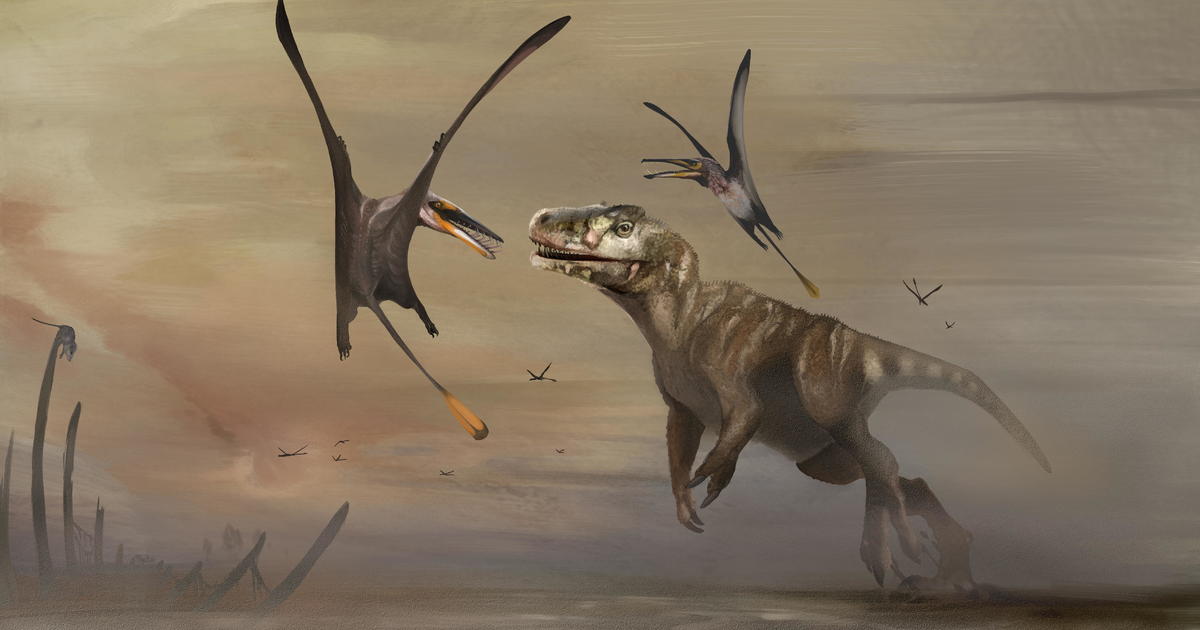 Fossil of 170 million-year-old flying reptile unearthed in Scotland is "largest of its kind ever discovered"