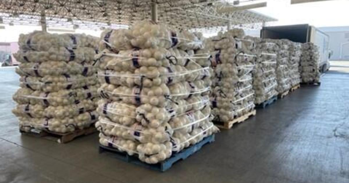 $2.9 million worth of meth disguised as onions seized at California border