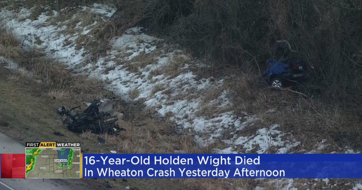 Driver Killed When Car Crashed Into Pole Identified As Wheaton