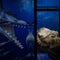 36-million-year-old fossil of sea monster found in desert