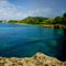 Tourist killed by shark in popular snorkeling spot