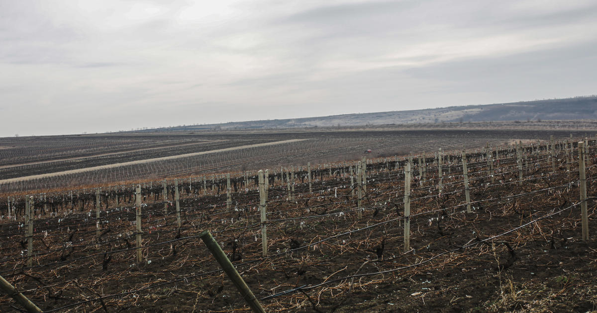 Ukraine war could push up to 13 million more people into food insecurity, officials say: "Catastrophe on top of catastrophe"