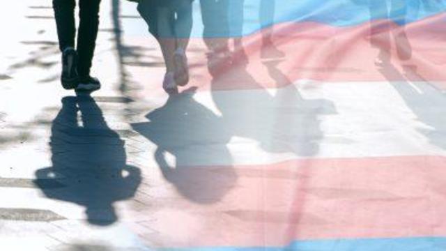 Transgender flag, shadows and silhouettes of people on a road, conceptual picture about anonymous Transgender and Gay Lesbian in the World 