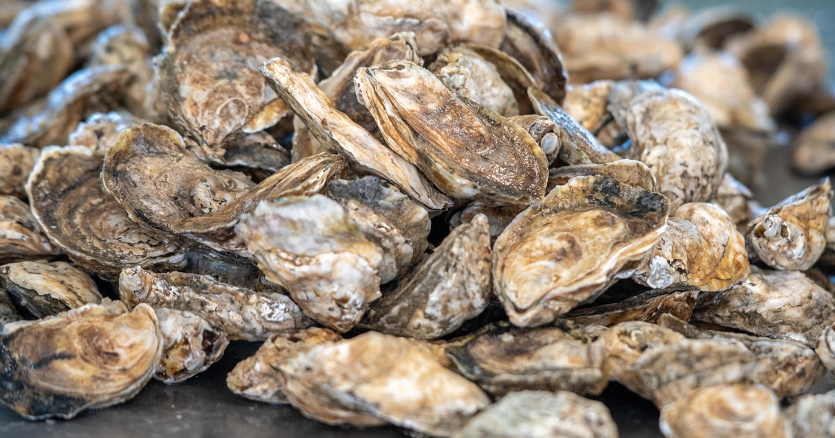 29 Minnesotans suffer norovirus symptoms after eating raw oysters