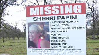 The lasting impact of Sherri Papini's faked kidnapping 