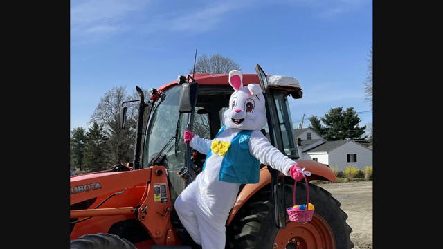 Easter-Bunny-2.jpeg 